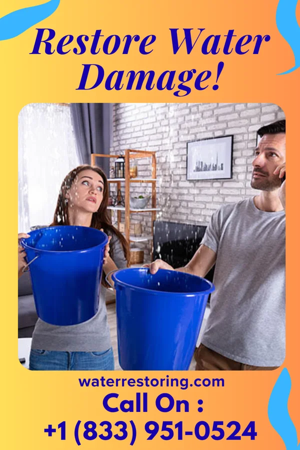 water restoration Ace Extraction Specialists East Glenville