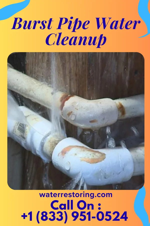 Burst Pipe Water Cleanup in East Glenville, NY