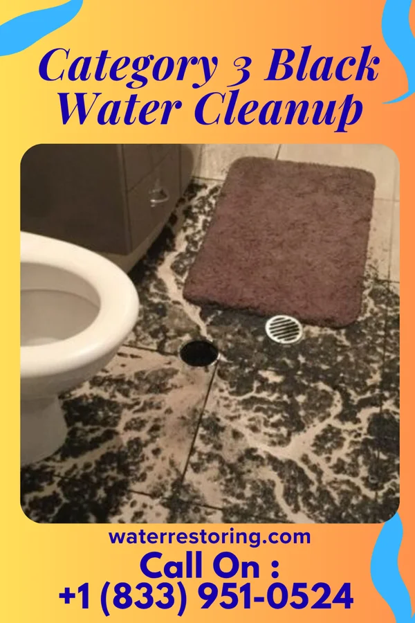 Category 3 Black Water Cleanup in East Glenville, NY