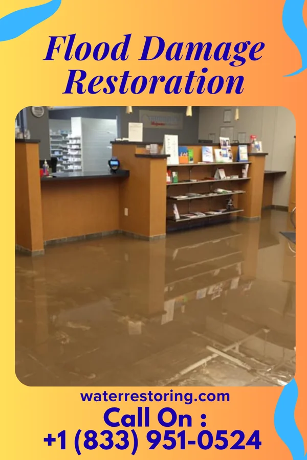 Flood Damage Restoration in East Glenville, NY