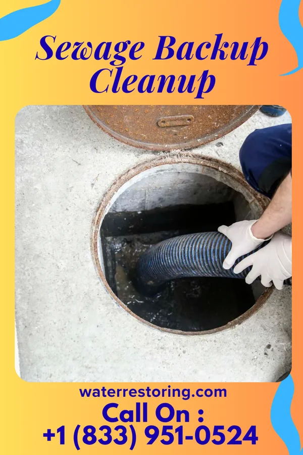 Sewage Backup Cleanup in East Glenville, NY