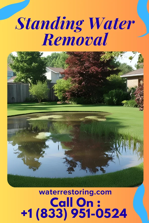 Standing Water Removal in East Glenville, NY